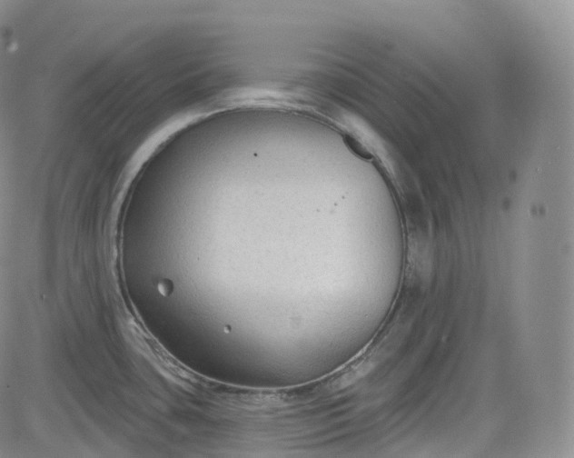 X0000083611435200702260916