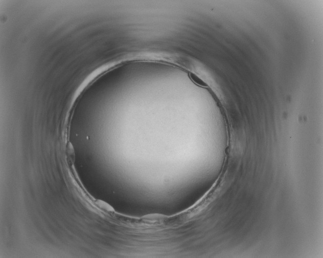 X0000083611436200702260916