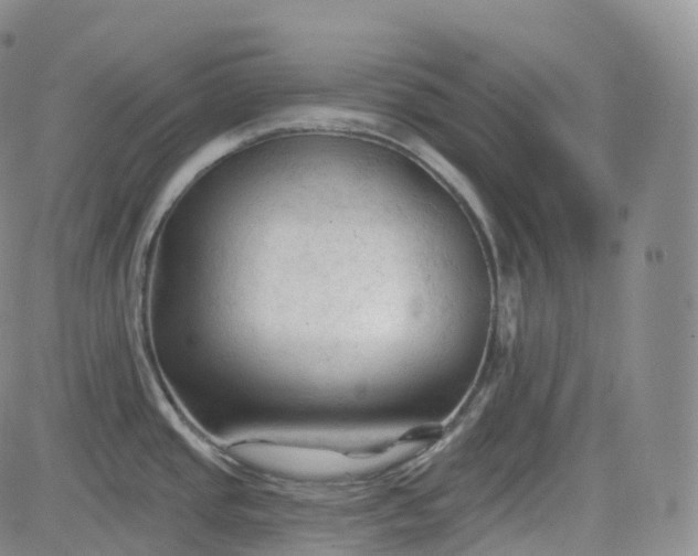 X0000083611437200702260916