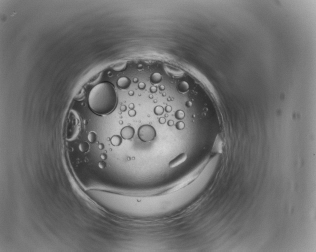 X0000083611439200702260916