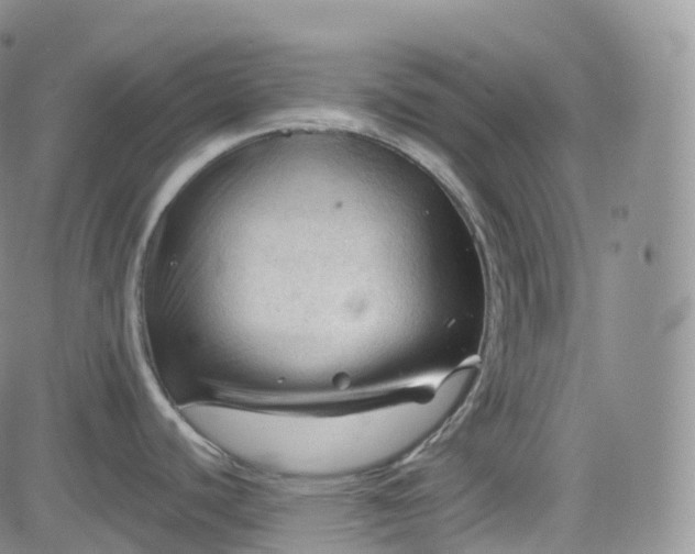 X0000083611440200702260916