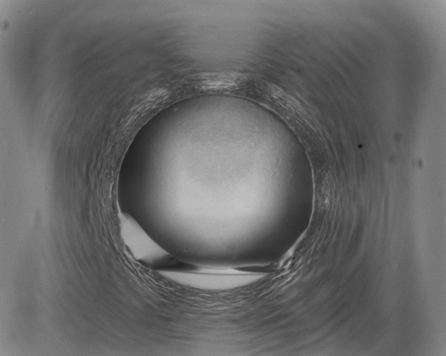 X0000083611441200702260916