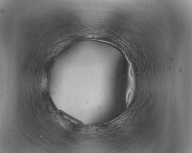 X0000083611444200702260916