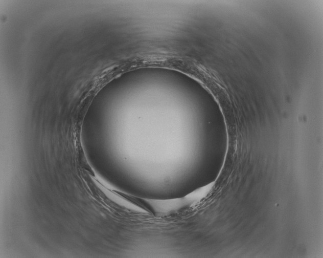 X0000083611445200702260916