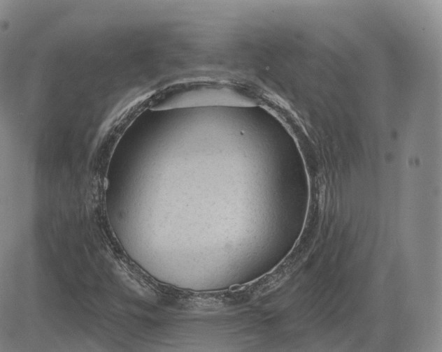 X0000083611448200702260916