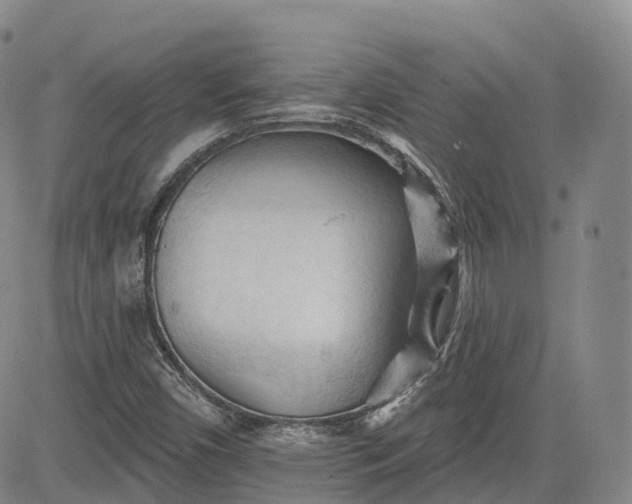 X0000083611450200702260916