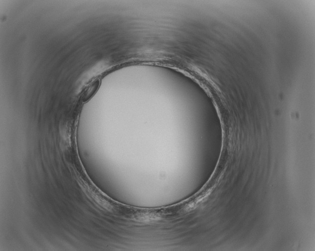 X0000083611451200702260916