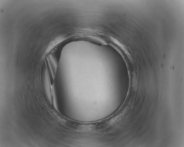 X0000083611453200702260916