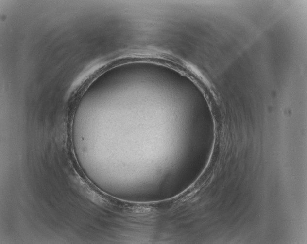 X0000083611456200702260915