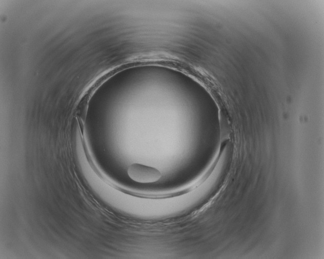 X0000083611457200702260915