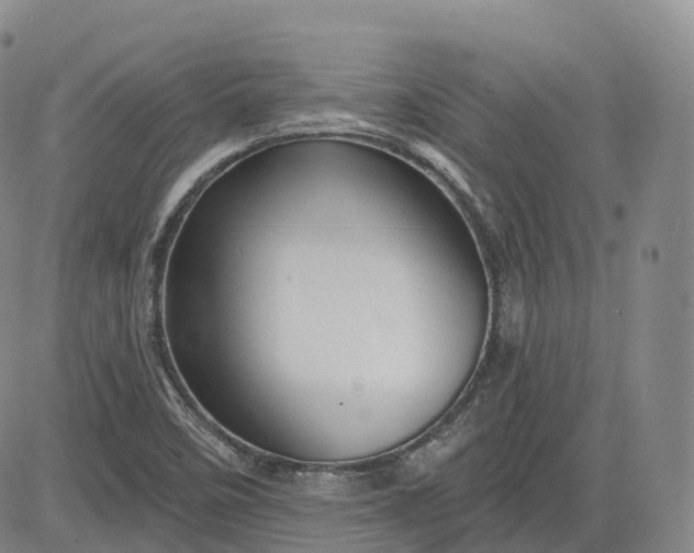 X0000083611458200702260915