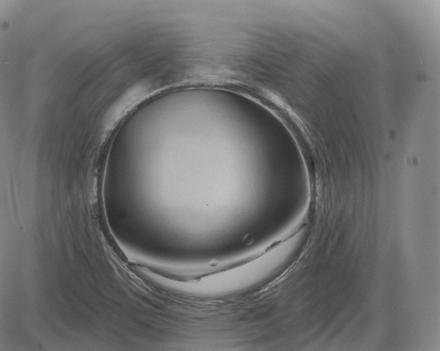 X0000083611459200702260915