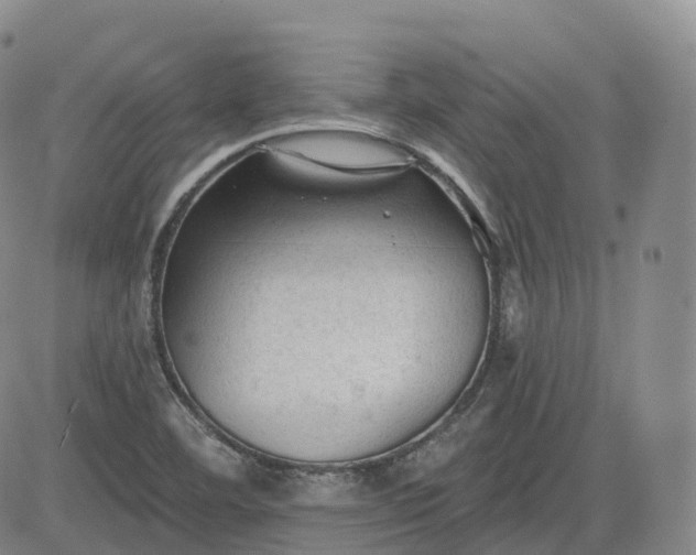 X0000083611460200702260915