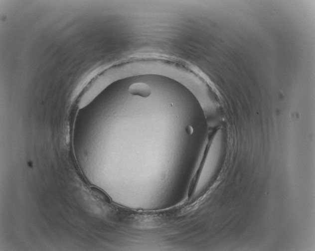 X0000083611461200702260915