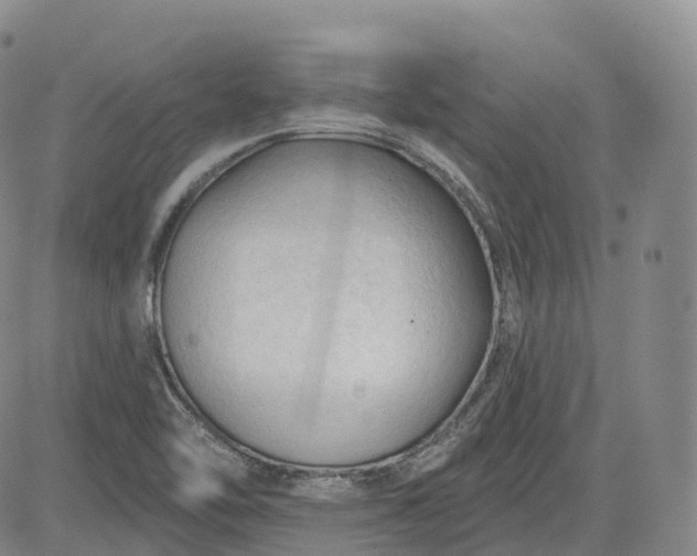 X0000083611462200702260915