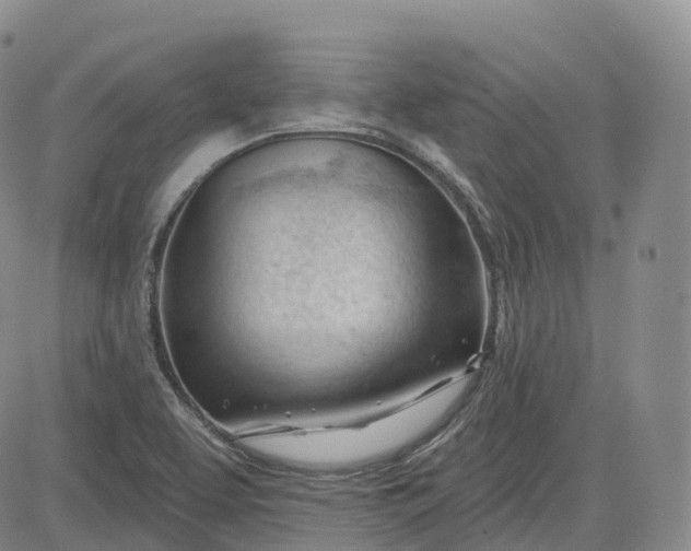 X0000083611463200702260915