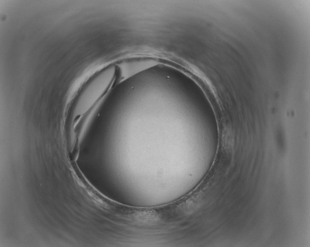 X0000083611464200702260915