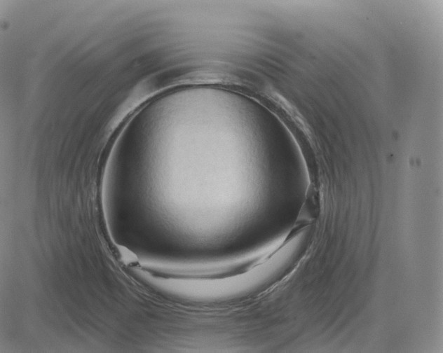 X0000083611465200702260915