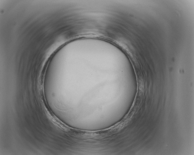 X0000083611466200702260915