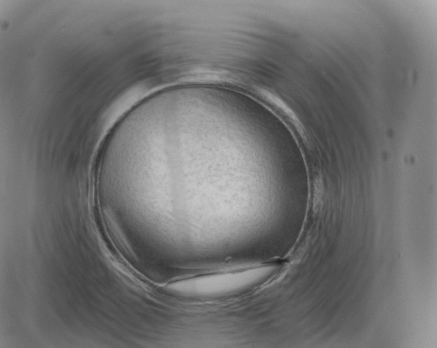 X0000083611467200702260915