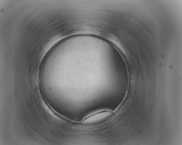 X0000083611468200702260915