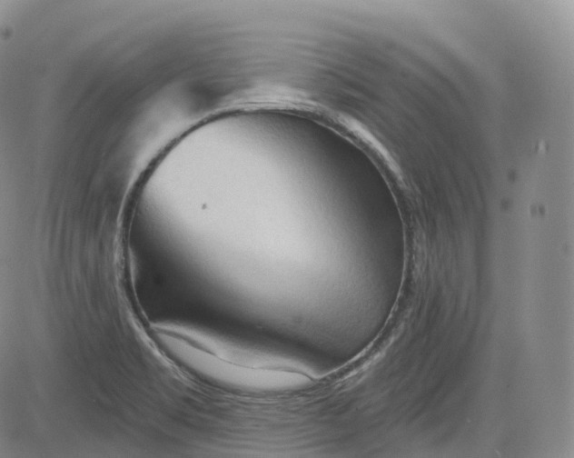 X0000083611469200702260915