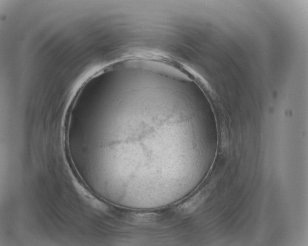 X0000083611471200702260915