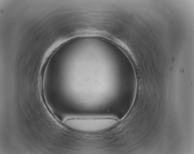 X0000083611472200702260915