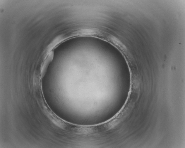 X0000083611473200702260915