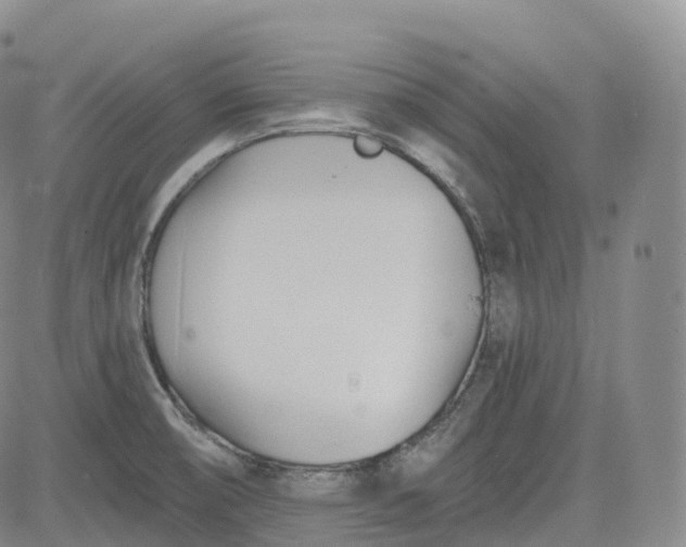 X0000083611474200702260915