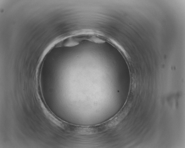 X0000083611475200702260915