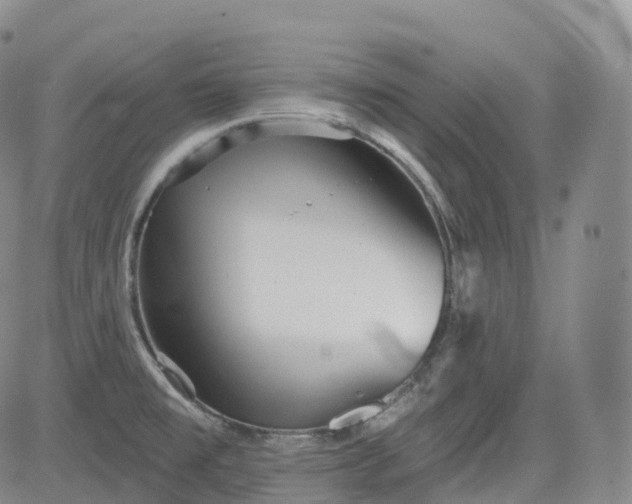 X0000083611477200702260915