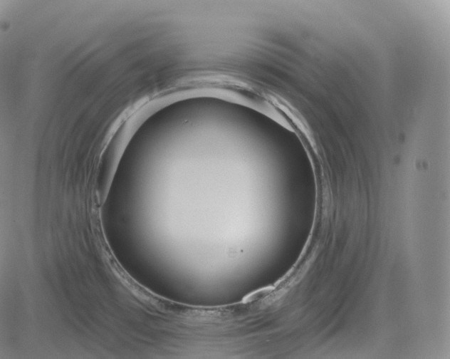 X0000083611481200702260915