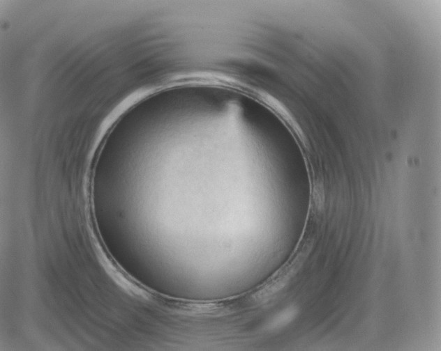 X0000083611482200702260915