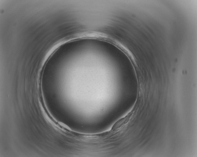 X0000083611483200702260915