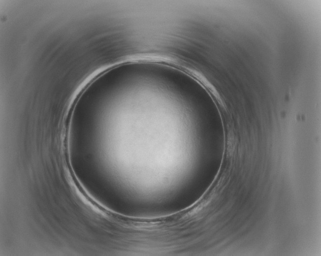 X0000083611484200702260915