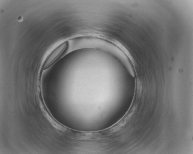 X0000083611485200702260915