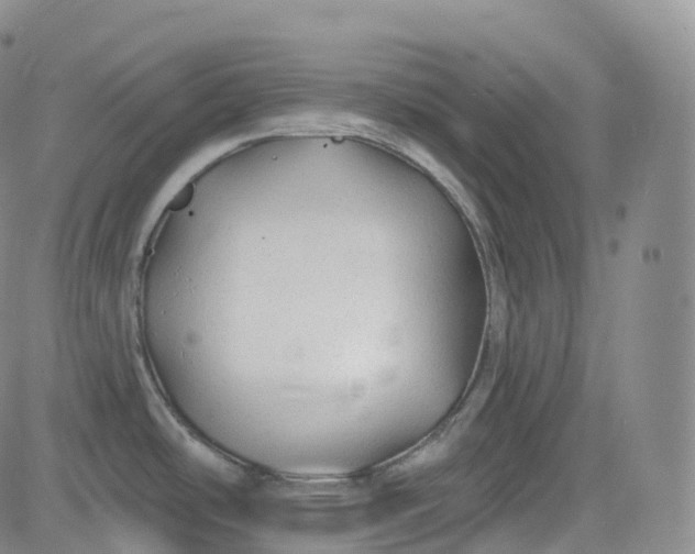 X0000083611486200702260915