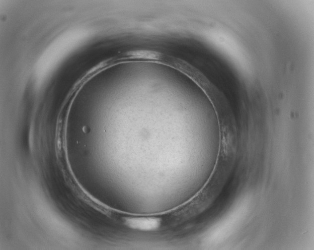 X0000083611487200702260915