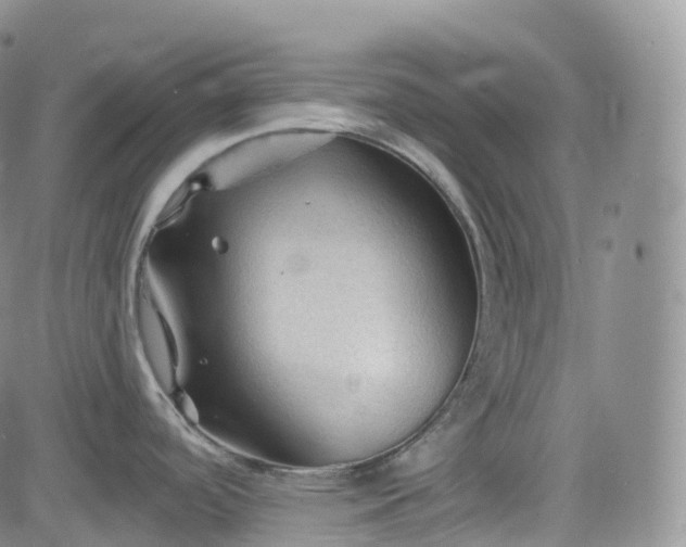 X0000083611488200702260915