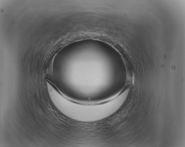 X0000083611492200702260914