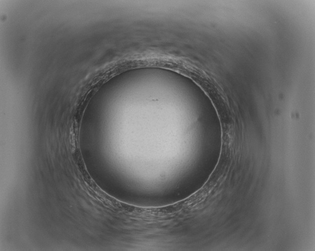 X0000083611493200702260914