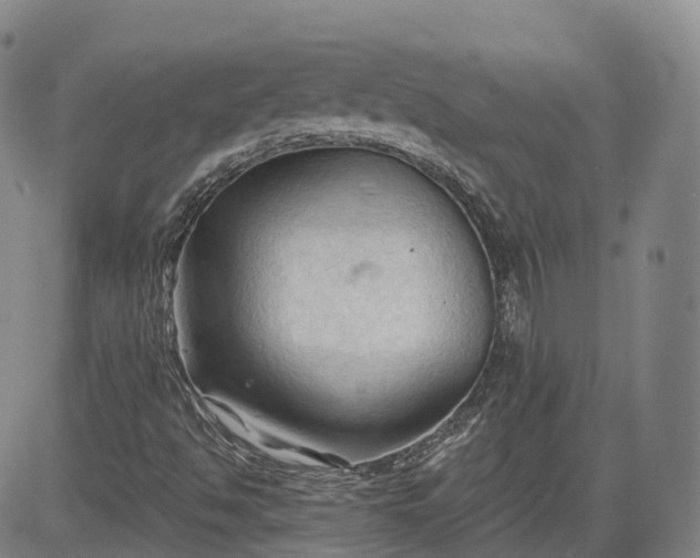 X0000083611494200702260914