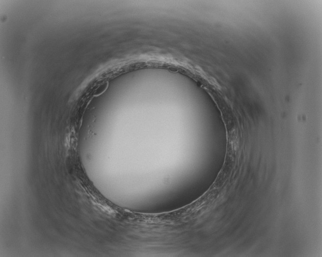 X0000083611495200702260914