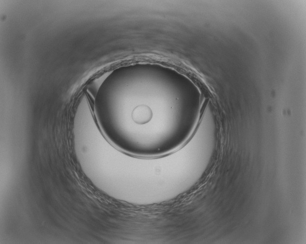 X0000083611496200702260914