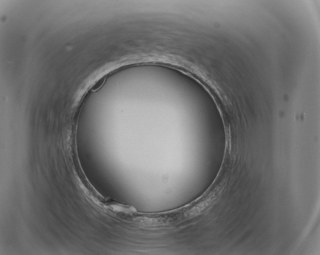 X0000083611500200702260914