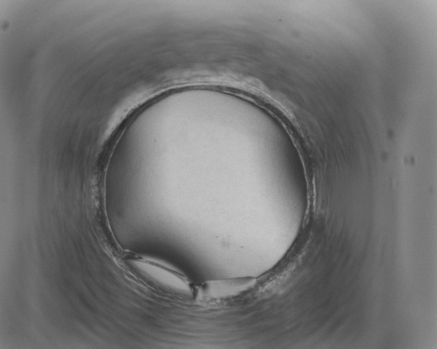 X0000083611501200702260914