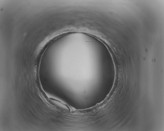 X0000083611503200702260914