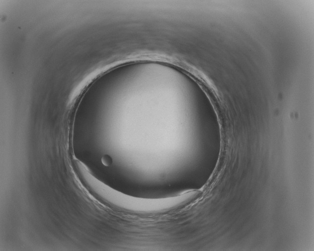 X0000083611504200702260914