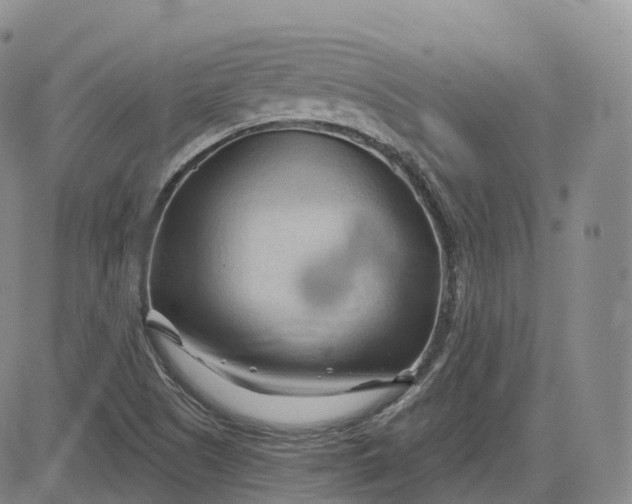 X0000083611505200702260914